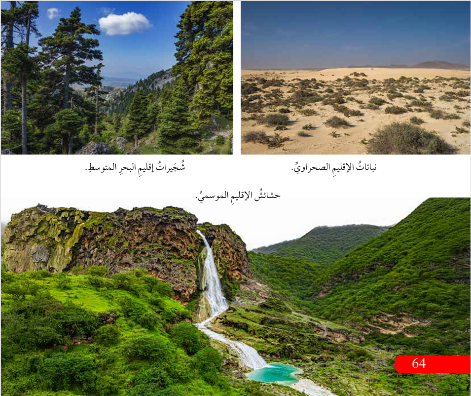 النبات الطبيعي في الوطن العربي